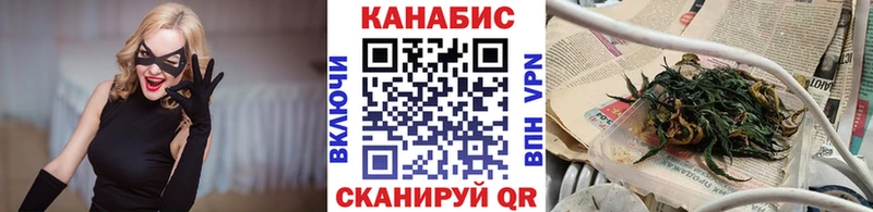 Каннабис план  Купить закладки  Пятигорск 